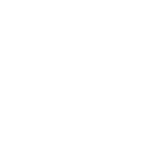 GitHub's Logo